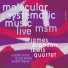 James Brandon Lewis Quartet
