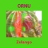 Ornu