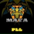 PLL