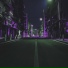 LSQD