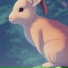 Rabit323