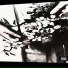 SHADOW13