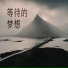 黄诗柳