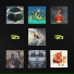 Thomas Mraz, i61 feat. Pompeya