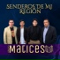 Grupo Matices