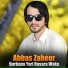 Abbas Zaheer