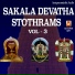 Sivapuranam D. V. Ramani