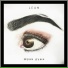 LEAM