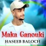 Haseeb Baloch