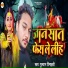 Gulshan Timaichi