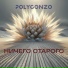 Polygonzo