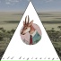 Antelope Man
