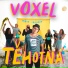 Voxel