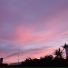 Fedeflaviano, Kwaii Fong