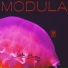 Modula