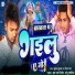 Gunjan Guljar feat. Raushan raj