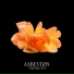 ASBESTØS