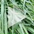 Rain Sounds by Johnny, Rain Sounds, Nature Sounds