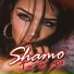 Shamo