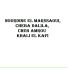 Cheba Dalila, Cheb Amrou