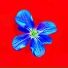 Fonamor feat. Azul Bado