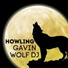 Gavin Wolf Dj