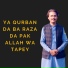 Bahadar Zaib
