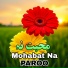 Paroo