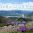 Сайдам