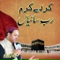 Shahbaaz Qamar Fareedi