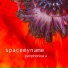 spacemyname