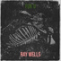 Ray Wells