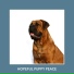 Relaxing Dog Music