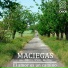 Maciegas feat. Héctor "Titín" Molina