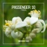 Passenger 10
