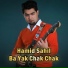 Hamid Sahil