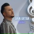 Arin Artan