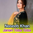 Naseeb Khan