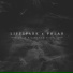 Lifespark., Polar