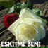 MEMET ADIGÜZEL