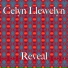 Celyn Llewelyn
