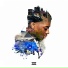 IshDARR