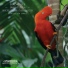 INKATERRA