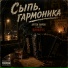 Артём Лирон, группа Винилус
