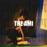 The Ami