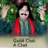 Niaz Khokhar