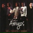 Grupo Los Amigos