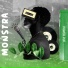 MONSTRA