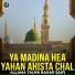 Allama Talha Badar Saifi