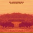 Blackberries